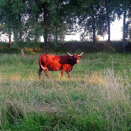 Holiday home Le Marly's