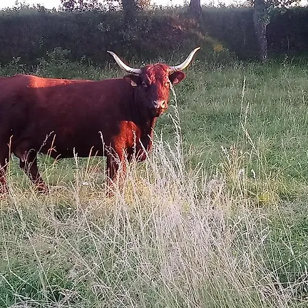 Le Marly's * Wasigny