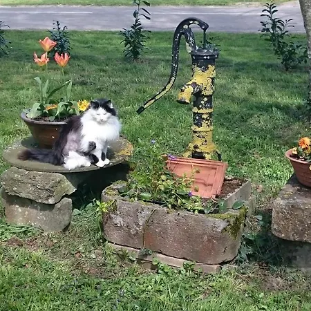 Vakantiehuis Le Marly's *