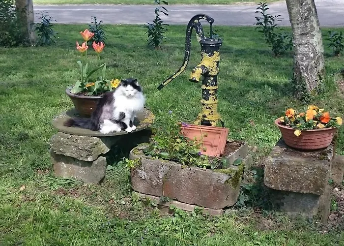 Сasa de vacaciones Le Marly's *